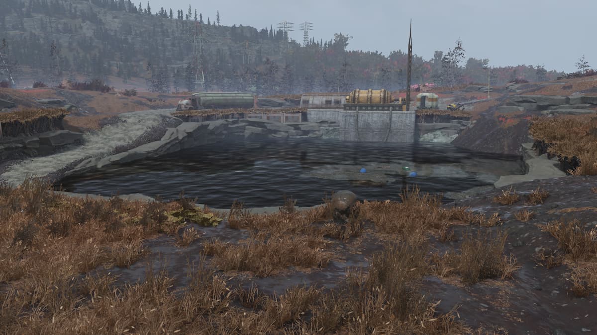 Mirelurk in Cranberry Bog.