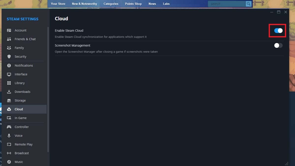 Enable Steam cloud saves