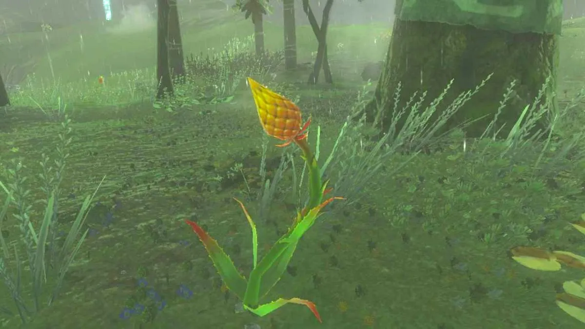 Zelda Tears of the Kingdom Mighty Thistle guide image