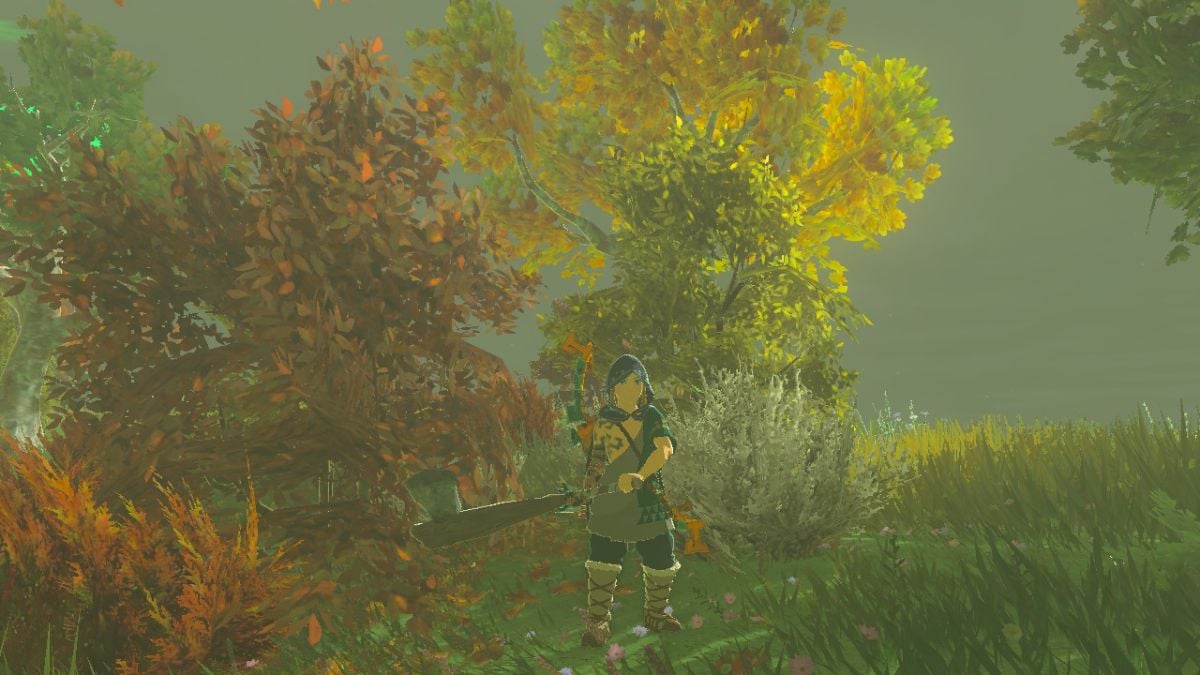 Zelda: Tears of the Kingdom small trees