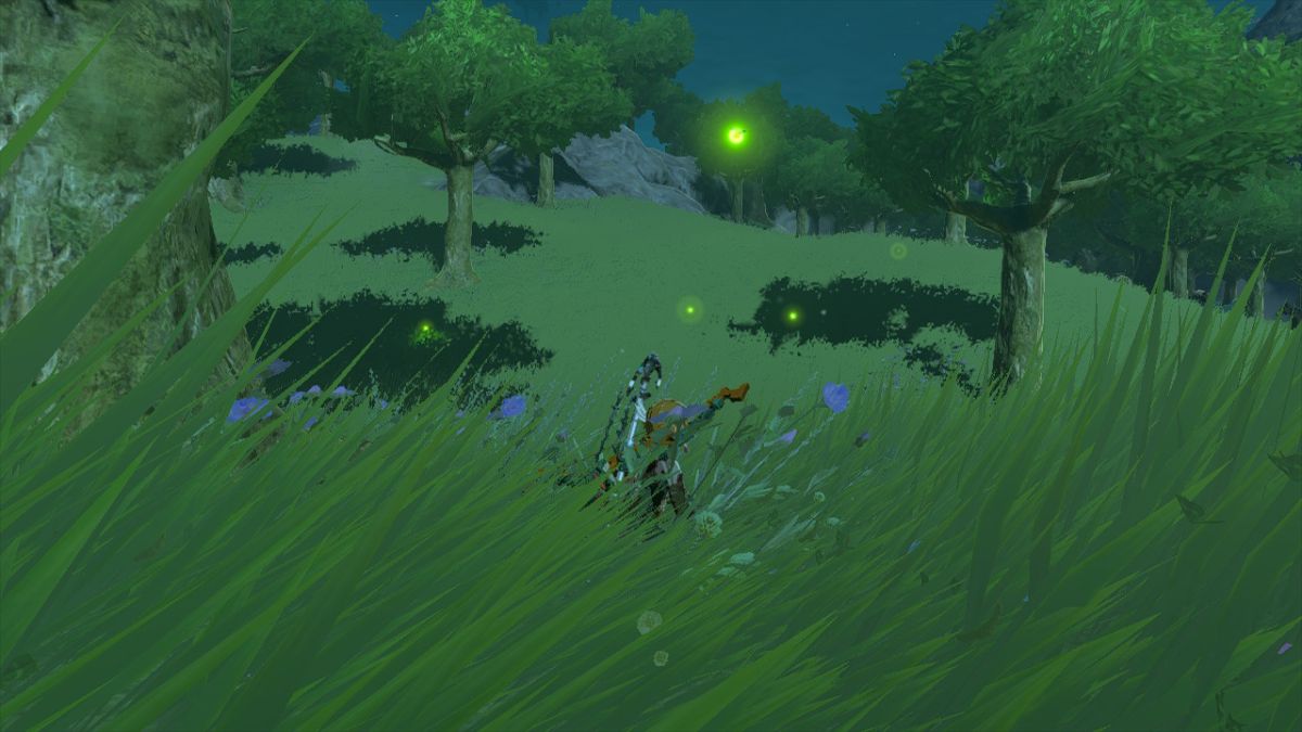 Zelda Tears of the Kingdom Sunset Fireflies