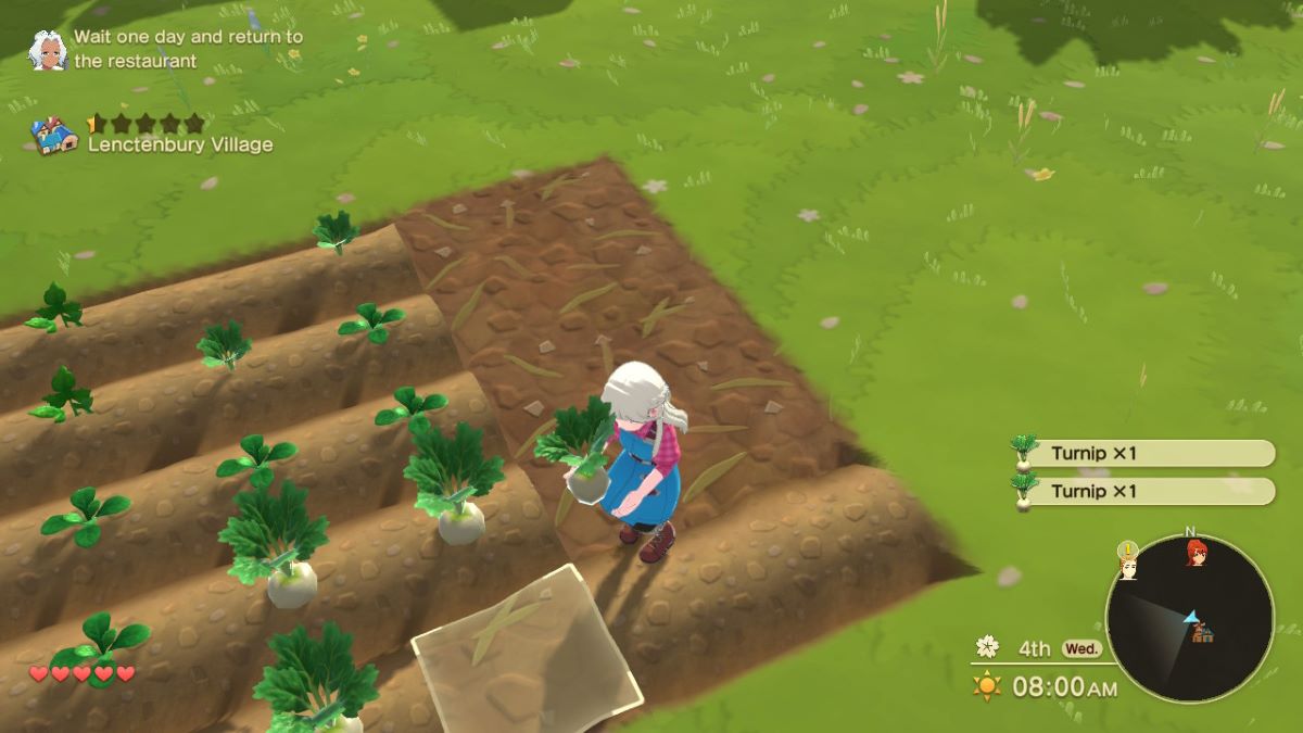 how to grow crops Harvest Moon: The Winds of Anthos