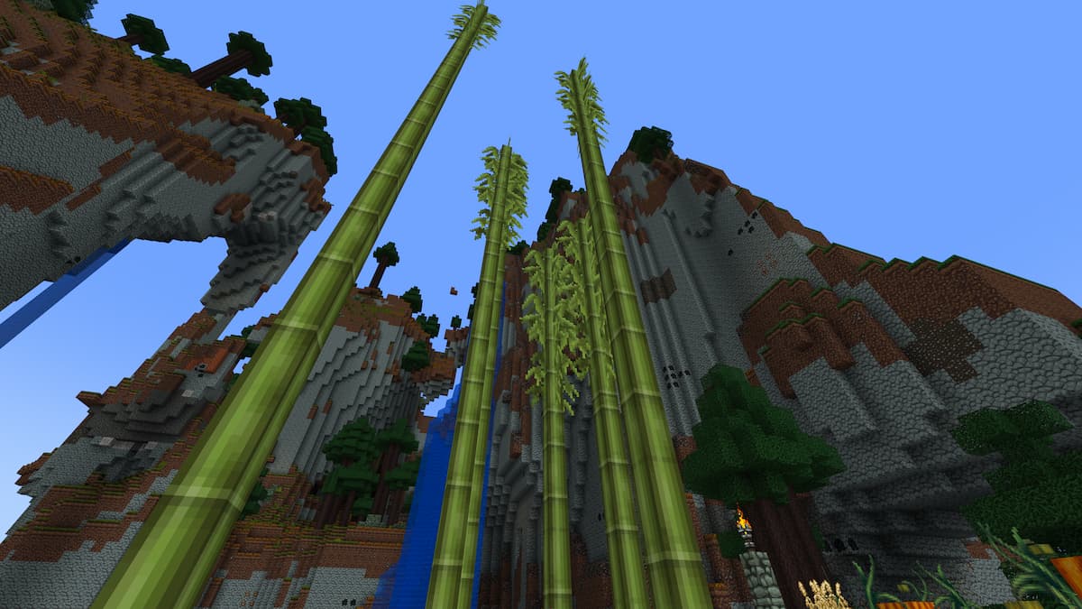 Five towering stalks of Bamboo shooting into the sky.