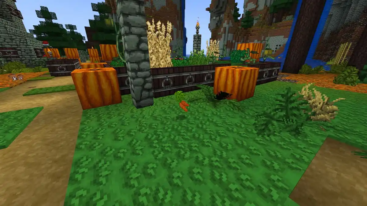 A carrot floating above green grass near two pumpkins.