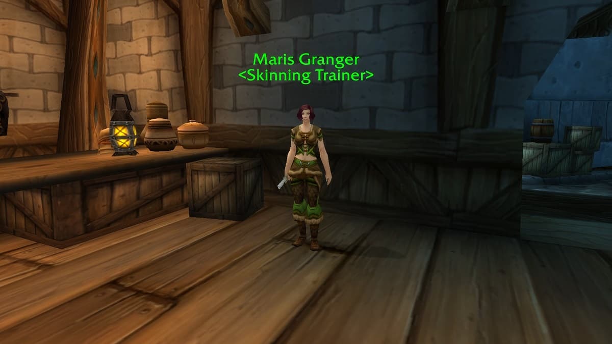 WoW Stormwind Skinning Trainer