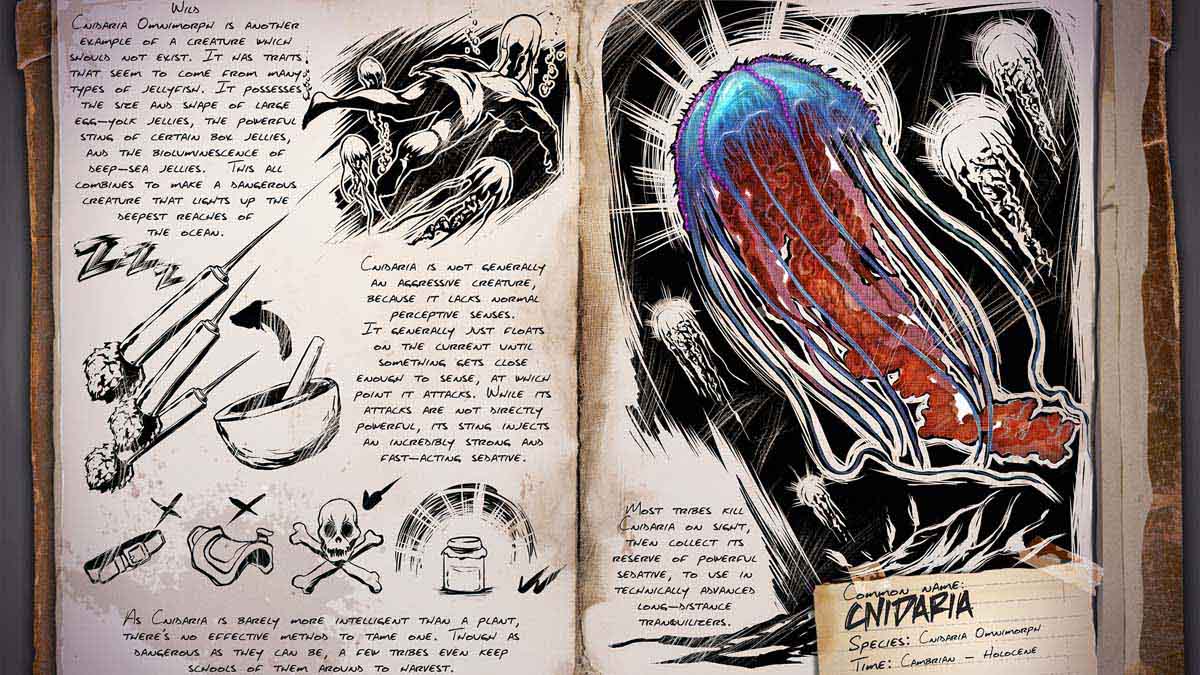 Description of the Cnidaria creature from the book