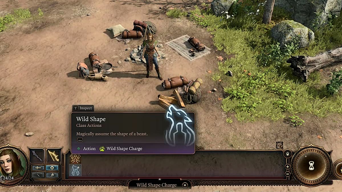 druid wild shape tooltip in baldur's gate 3