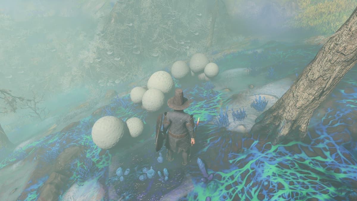 Shroud Puffballs in Springlands