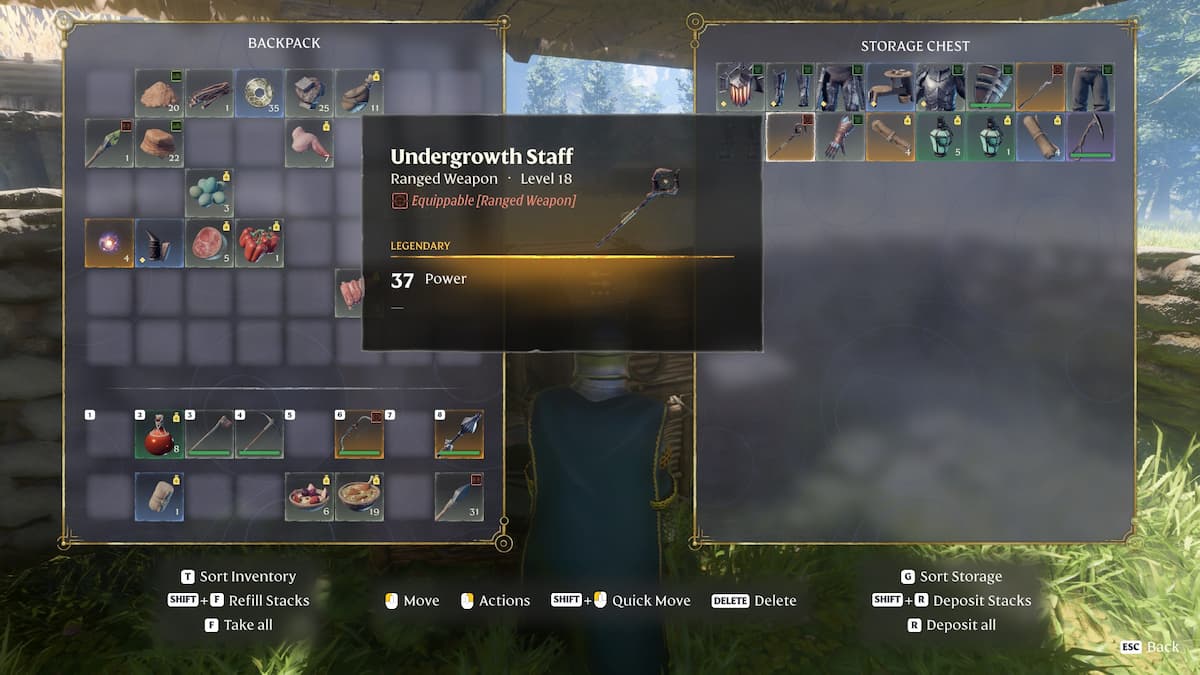 Legendary Undergrowth Staff at level 18.