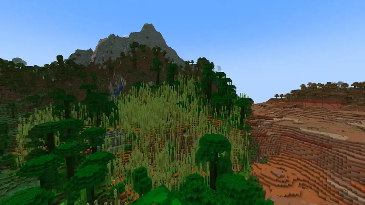 Bamboo Jungle in Minecraft