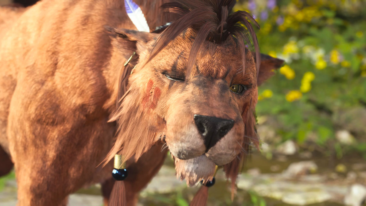 A closeup of Red XIII in Final Fantasy VII: Rebirth