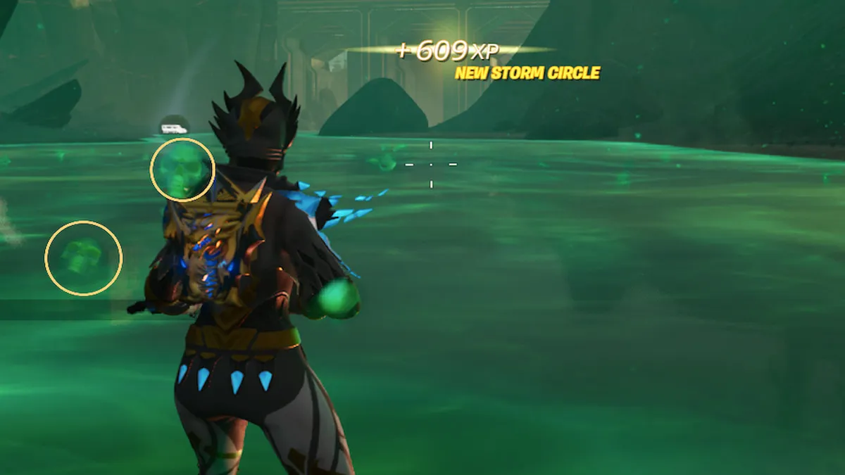 Player standing in River Styx and green floating skulls behind them circled in yellow