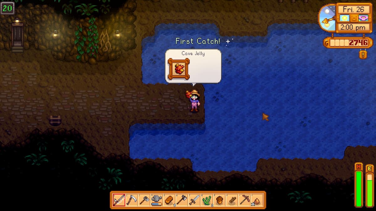 First time catching Cave Jelly at Mine level 20.