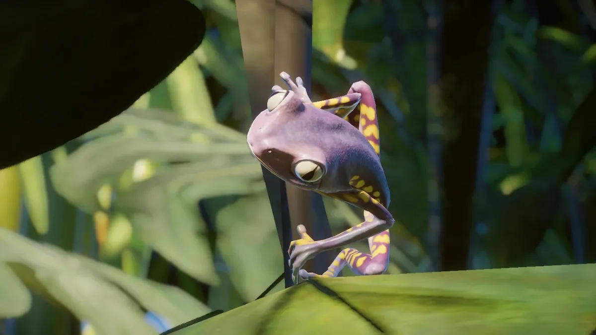 A grey and yellow-spotted Burmeister's Leaf Frog from the Planet Zoo Extraordinary Exhibits Remaster mod.