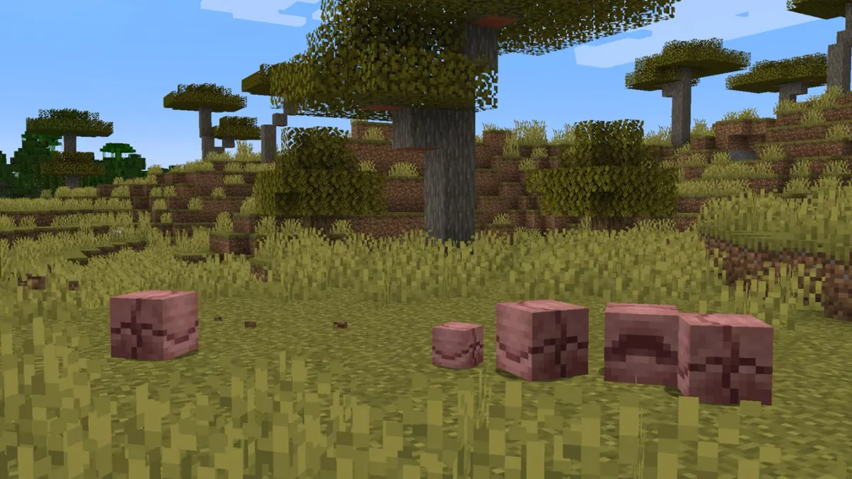 Armadillo family in Minecraft