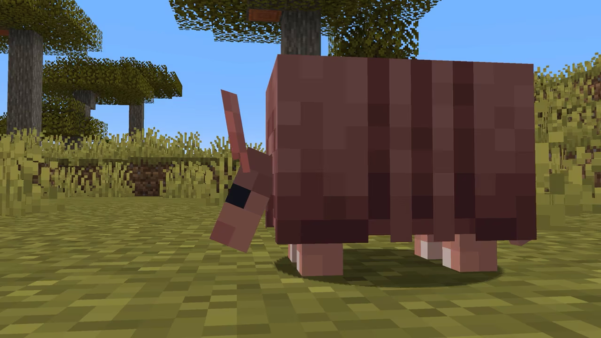 Armadillo in Minecraft