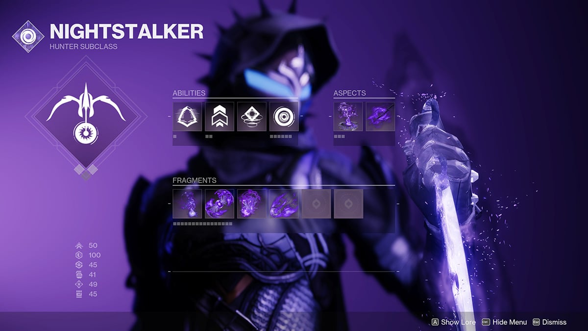 A Void Hunter build in Destiny 2