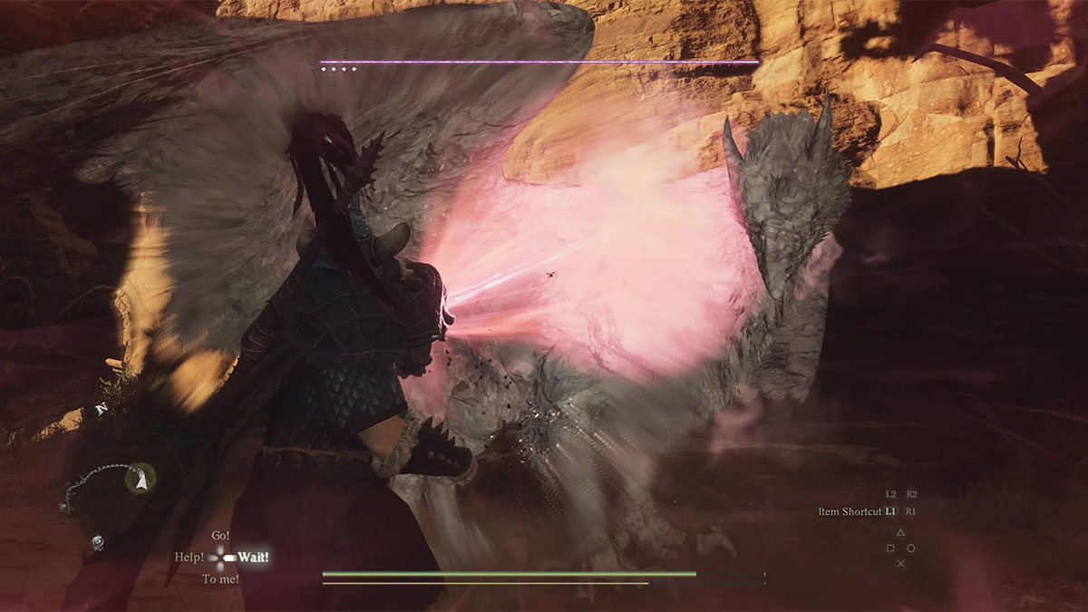 Using a medusa head to petrify a griffon in Dragon's Dogma 2