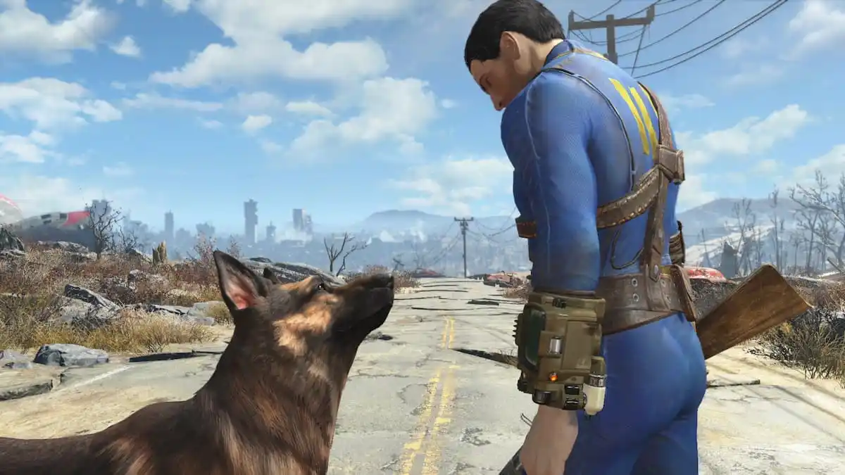 Character looking at Dogmeat in the Commonwealth.