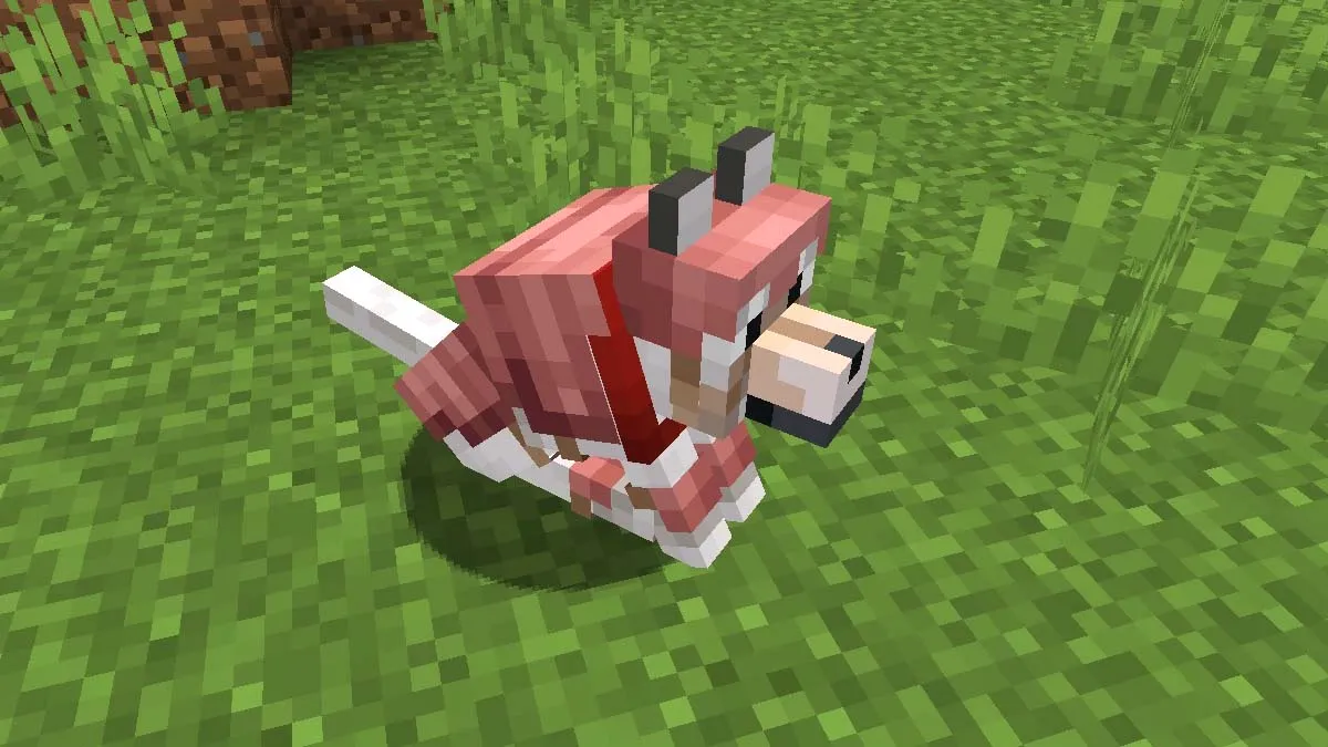 Tamed wolf wearing wolf armor in Minecraft