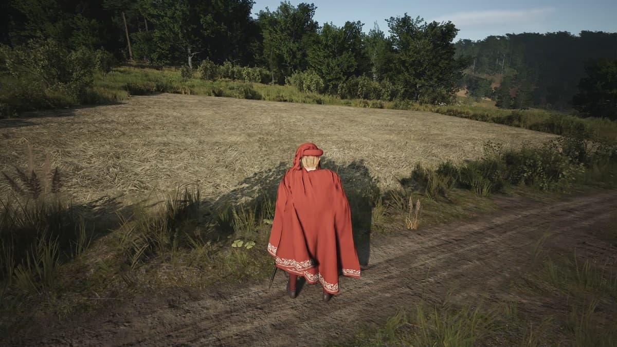 Lord looking at an empty field