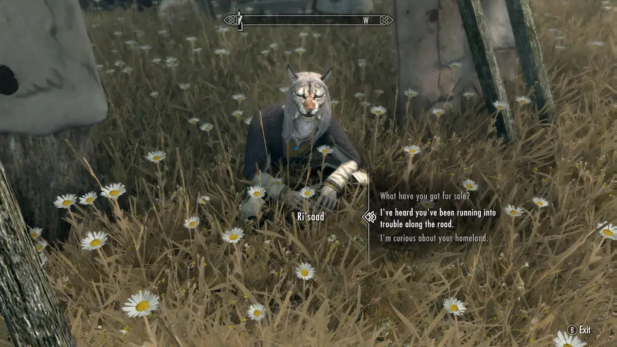 Ri'Saad, Khajit sitting in grass in front of a tent