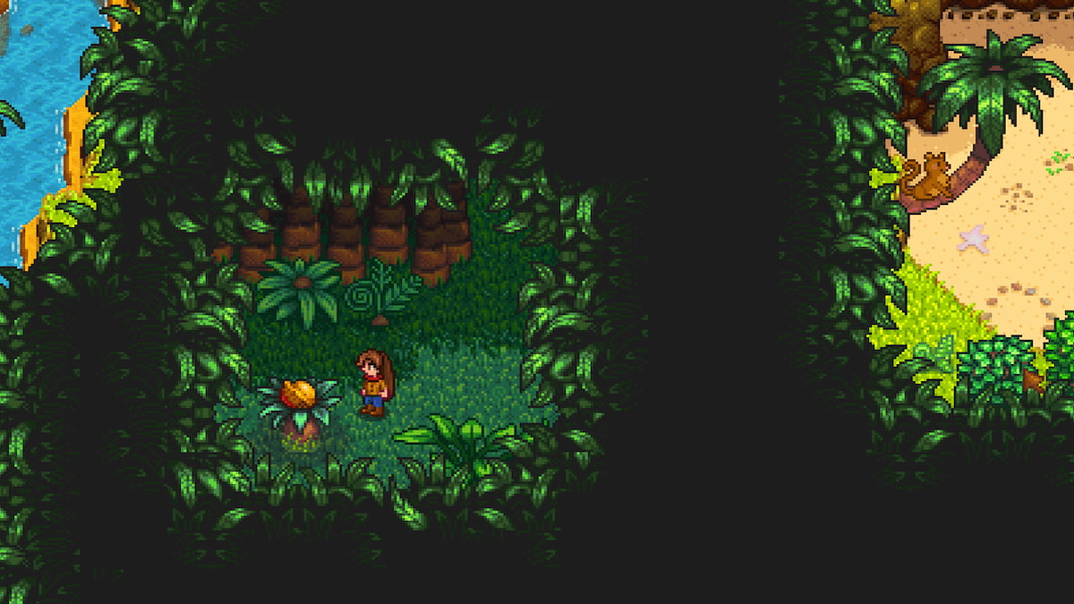 Golden Walnut in a bush in secret jungle passageway