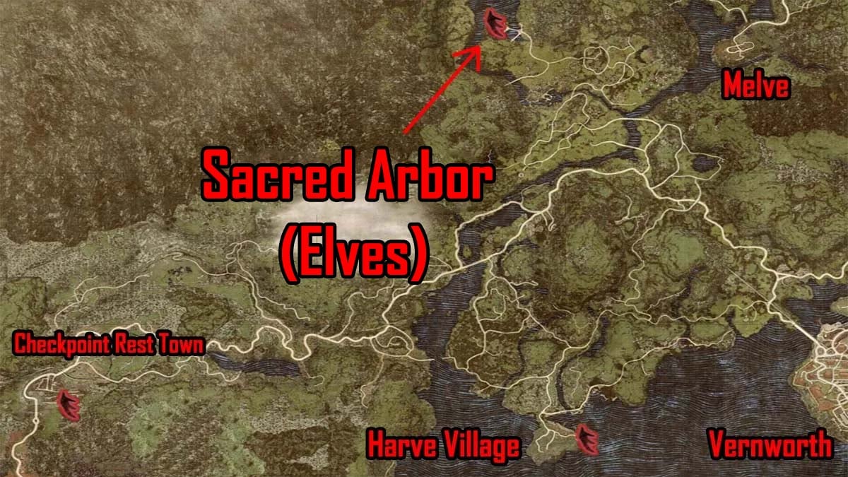 elves location in dragons dogma 2 sacred arbor