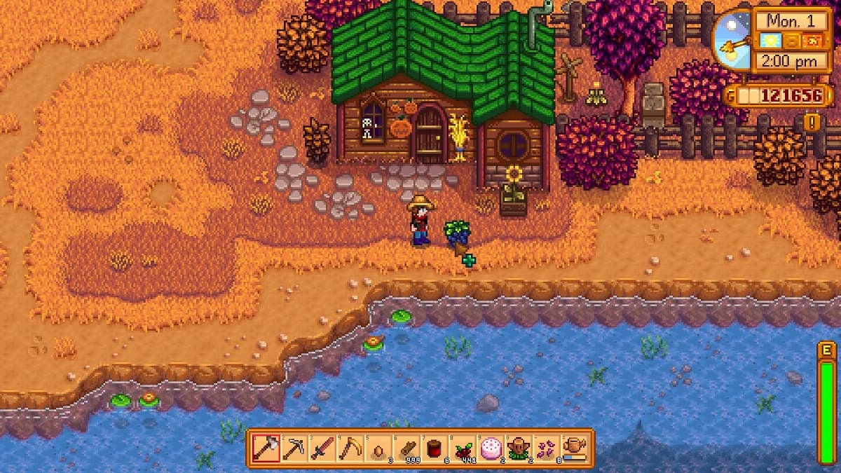 Blackberry on the ground in Stardew Valley