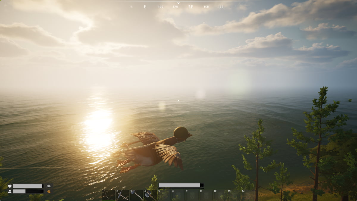 Duck flying across the map watching the sunset