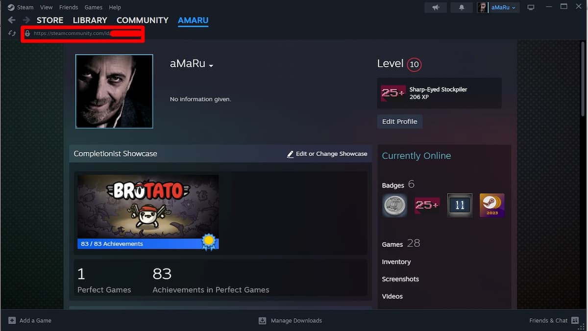 steam profile