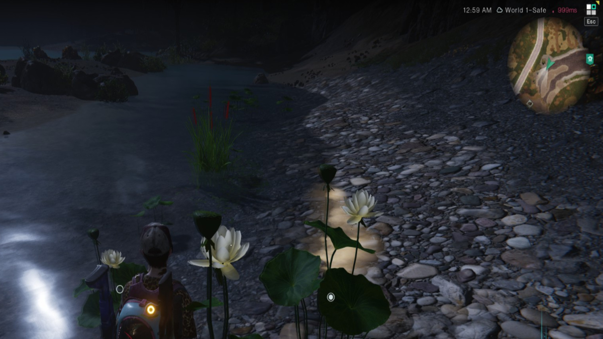 Farming Yellow Lotus and Scarlet Calamus in Once Human