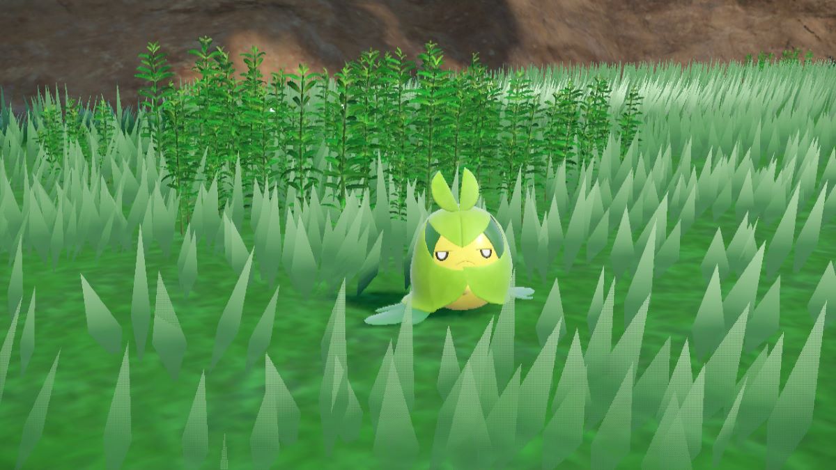 Close-up shot of Swadloon in Pokemon Scarlet & Violet